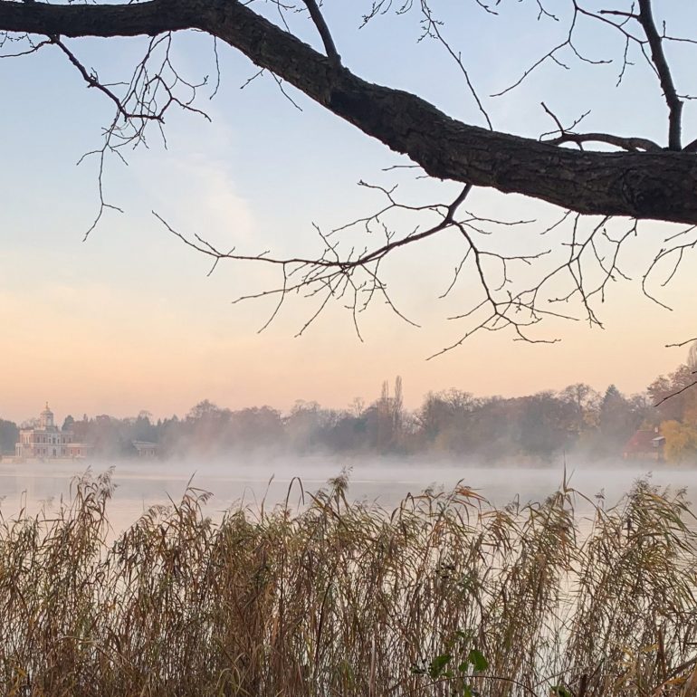 Lake view