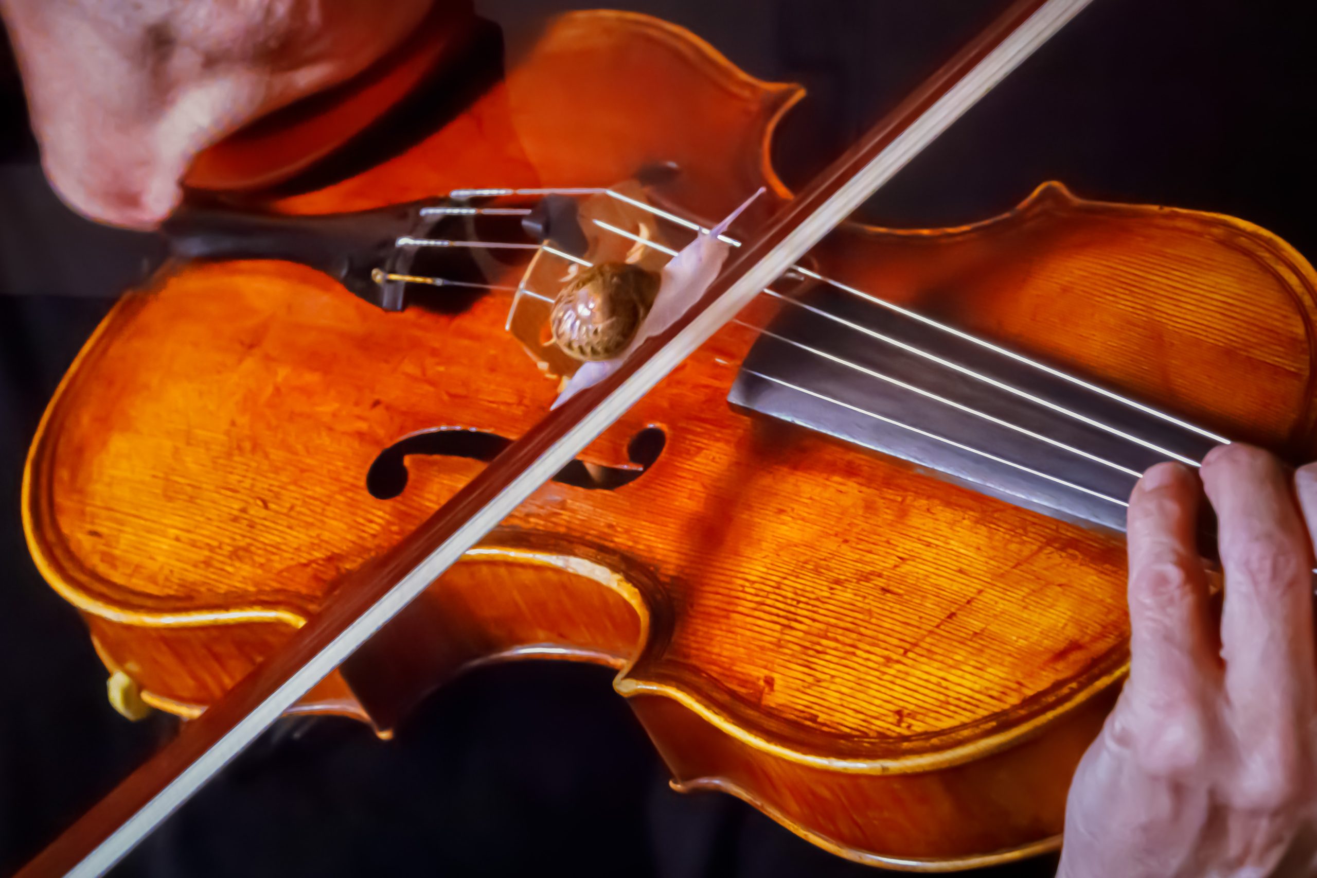 Violin